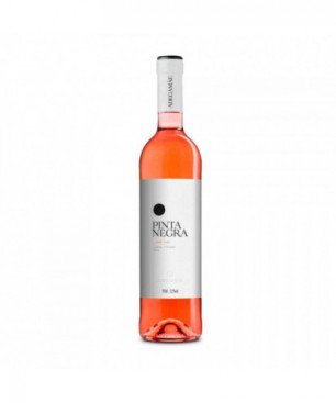 Pinta Negra Rose - Island Wine Store