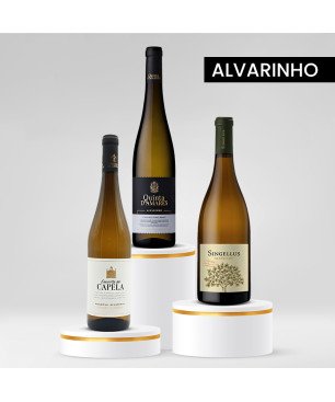Alvarinho Degustazione di vini