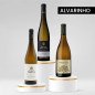 Alvarinho Degustación