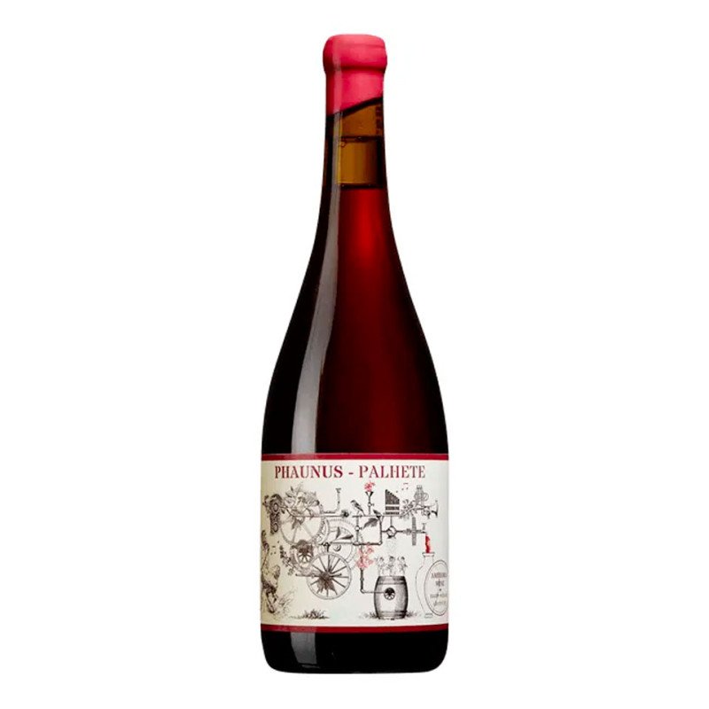Phaunus Amphora Palhete Rosato