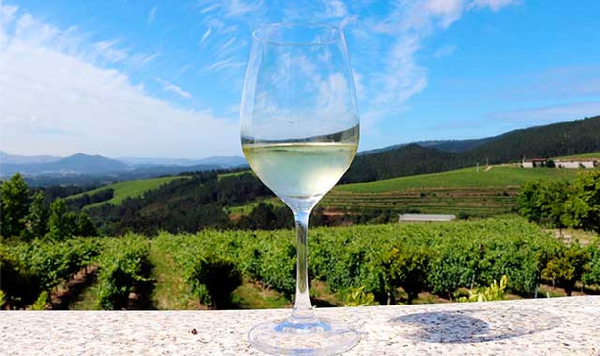 Las mejores vinos albariños: una introducción