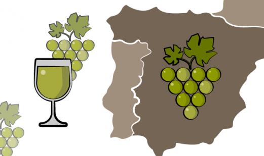 Il miglior vino bianco secco per cucinare