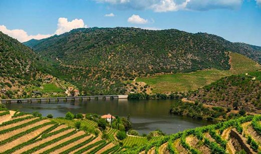 Portugal é conhecido pelo vinho?