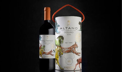 Ein umfassender Leitfaden für die besten italienischen Weine in einer Box