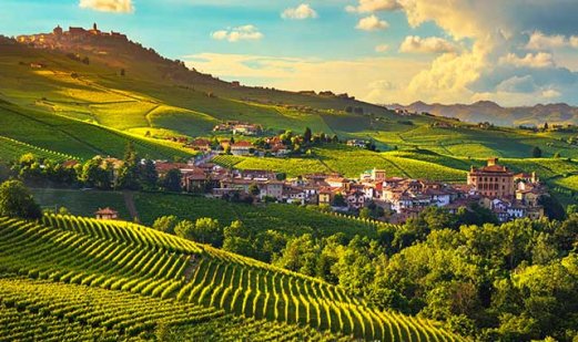 What is Barolo Red Wine?