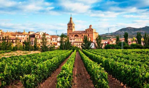 Qual é um bom vinho tinto espanhol?