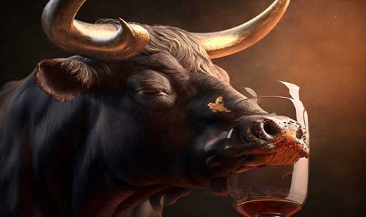 Quali sono i vini spagnoli più noti?