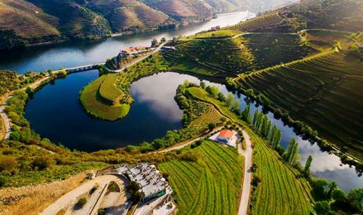Qual è l'origine del vino Porto?