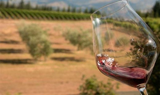 Il miglior vino rosso portoghese